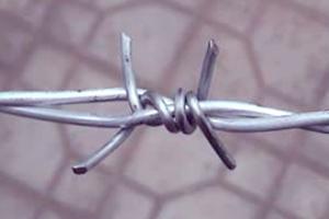 Quality Double Twist Barbed Wire 10 Gauge Traditional Double Strands Barbed Wire Grassland Barrier wholesale