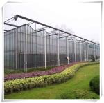 Height 3m Customized Agriculture Small Glass Garden Greenhouse for Vegetables