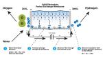 PEM Technology Hydrogen Electrolyzer Machine for Sustainable Hydrogen Oxide