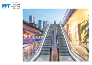 Quality LED Green Light Exterior Escalators , VVVF Operation Weatherproof Escalator wholesale