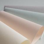 600D*600D Sun Blockout Roller Blinds Dust Proof Light Filtering