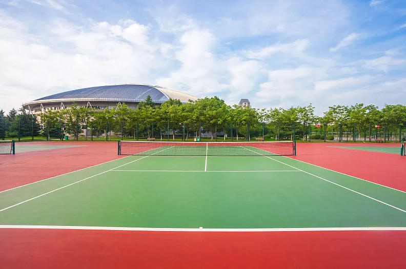 Multifunctional Seamless Outdoor Sports Surfaces 4mm UV-Resistance