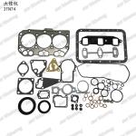 Full Gasket Kit Iron 3TN74