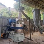 Ring Die Pellet Pressing Equipment Cattle Feed / Alfalfa Grass Machine Pellet
