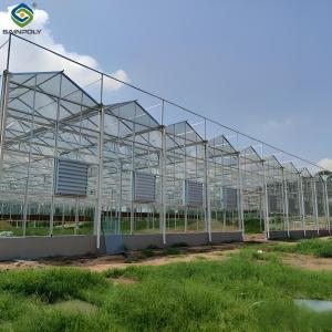 Quality Adjustable Shading Net Venlo Greenhouse Multi Span Glass Green House wholesale