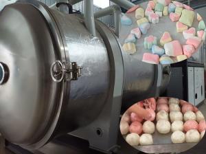 Quality 500kg Industrial Food Freeze Dryer Large-Scale Lyophilizer for Food Processing wholesale