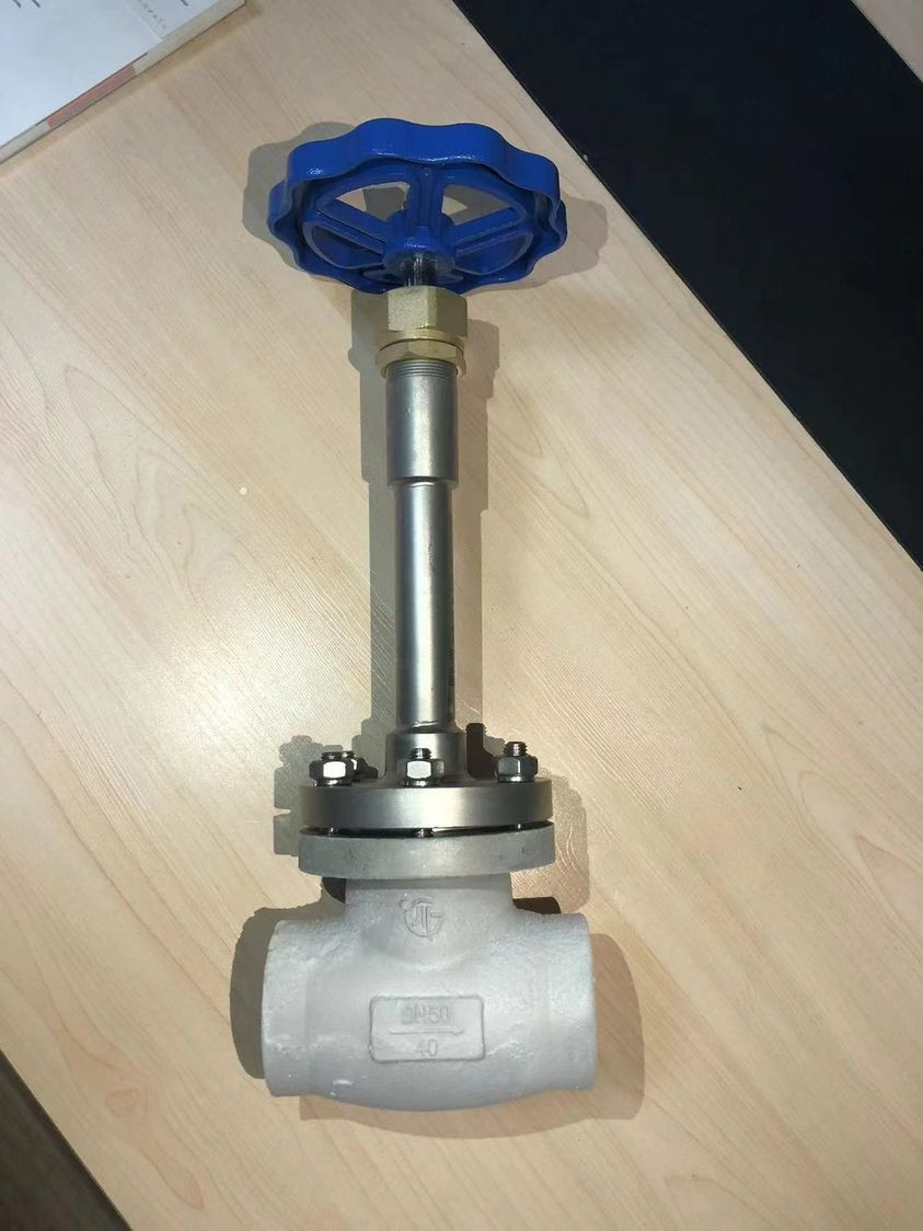 DN10-100 Stem Cryogenic Globe Valve PTFE Valve Handwheel -196 +80℃