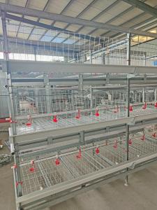 Quality Galvanized A-Type Laying Hens 5-Layer Battery Cage And Automatic Breeding System wholesale