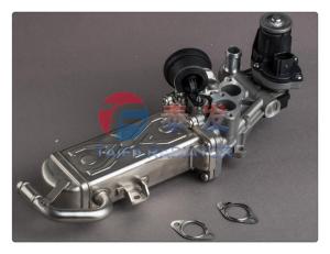 Quality VW Golf 1.6 Tdi Egr Valve 03L131512AP wholesale