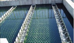 Quality FRP Material Lamella Tube Settler For Industrial Wastewater Treatment wholesale