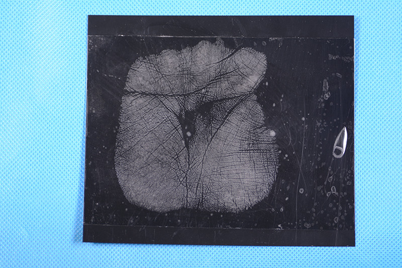 C161 Black high gloss Palm print backing sheet