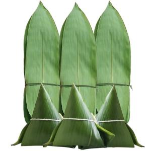 Quality 5-7cm Plate Decorative Accessory Vacuum Packed Fresh Bamboo Leaves for Sashimi wholesale