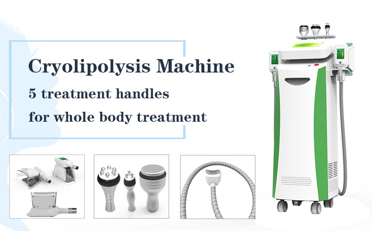 Qulaity based salon use multi model cryolipolysis apparatus body shaping machine