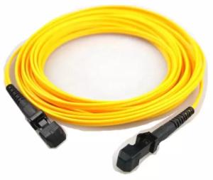 Quality Single Mode Fiber Patch Cord MTRJ To MTRJ 2mm Length wholesale