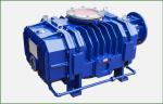 Stainless Steel Roots Blower Vacuum Pump Simple Structure ZJQL-2500
