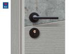 Waterproof Sandwich Wood Plastic Composite Eco Friendly Doors