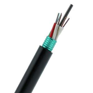 Quality Corrugated Steel SM G652D Optic Fiber Cable 48core Armored wholesale