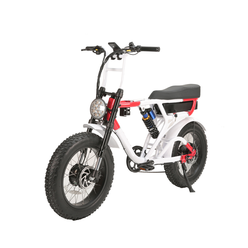 LCD Display Electric Retro Motorcycle with 750W Dual Motors and Long Range Capability