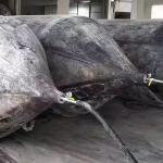 High Load Capacity Rubber Airbag Rubber Lift Bladders For Bridge Construction