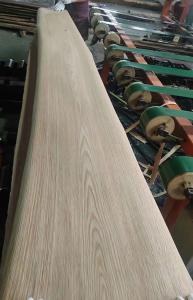 Quality American White Oak Wood Veneer, 0.50MM Thickness, 100,000SQM of iinventory wholesale