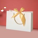 Ribbon Handle Cosmetic Paper Bags