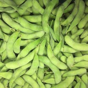 Quality 4cm Length Frozen Edamame Pods IQF Whole Food Plant Based A Grade wholesale