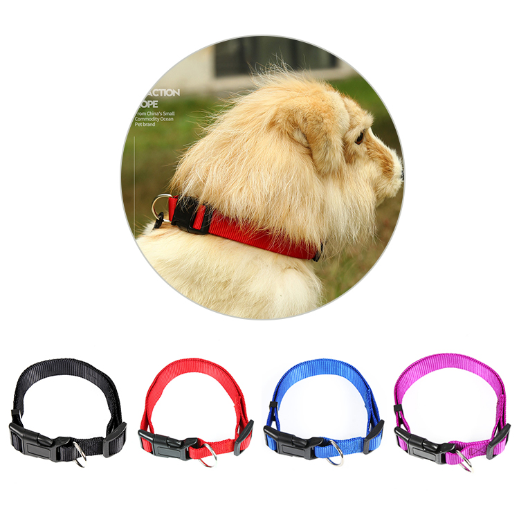 Dog Collar Oem Custom Luxury Personalized Logo Adjustable Pet Blank Plain Nylon Collars