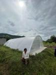 Hot Galvanized Steel Frame Polycarbonate Solar Dryer Greenhouse with Stable