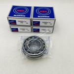 NSK Spherical Roller Bearing 22205CE4