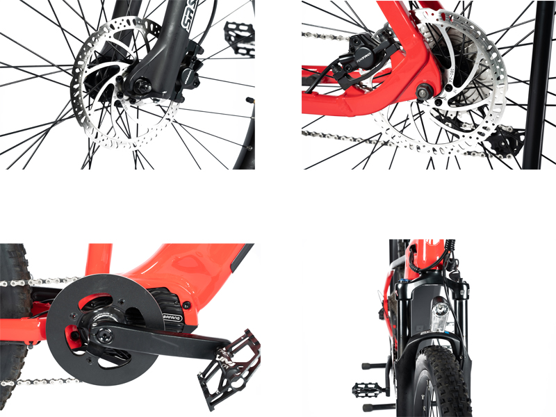 DOMANCA OEM Red City Bike 48V 500W/750W/1000W Bafang Motor Electric Bicycle for Adult