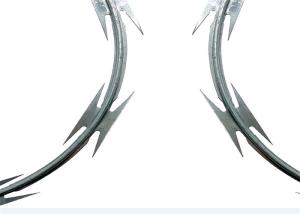 Quality 700mm Roll Diameter Razor Barbed Wire Cbt-65 Hot Dipped Galvanized wholesale