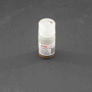 Quality 1μm 10 mg / mL 5 ML Silane Magnetic Beads For DNA Extraction wholesale