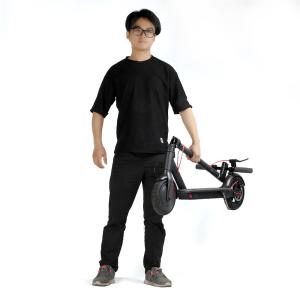 Quality 10 Inch Xiaomi 2 Wheel Folding Electric Scooter With A Dual Brake System wholesale