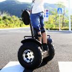 56Kg Electric Chariot Scooter Two Wheeled Personal Transport 20Km / H Max.