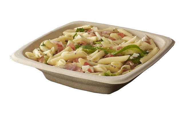 Eco Biodegradable Sugarcane Disposable Bowls 16oz Square Bowl With Lid