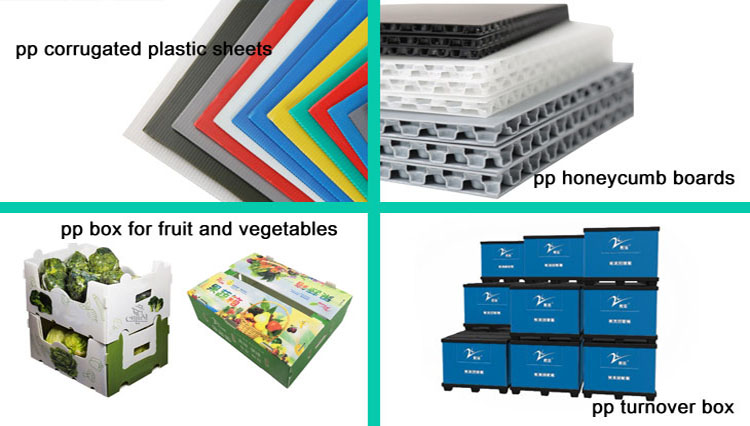 Fruit Corrugated Plastic Packaging Boxes Environmental Protection
