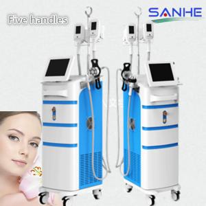 Quality Cryolipolysis Slimming Machine ,5Handles Cryolipolysis Fat Freezing Machine / Cryolipolys wholesale