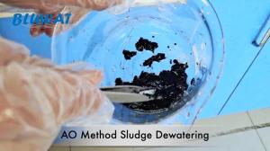 Quality Anoxic Oxic AO Method Sludge Dewatering Anionic Polyacrylamide wholesale