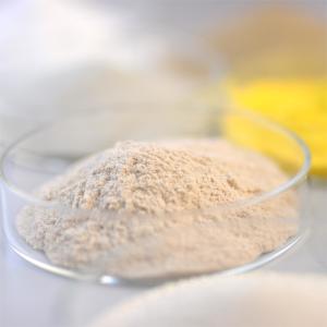 Quality Thermostable Alkaline Protease Protein Enzyme Be Used In Food Fields wholesale