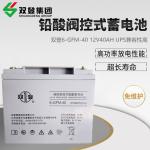 12V40Ah Shuangdeng 6-GFM-40 Lead Acid Battery for Chargeable UPS Power