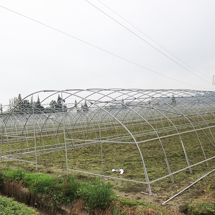 Vegetable Single Span Greenhouse Polycarbonate Sheet Covering