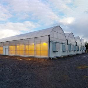 Quality Agriculture Hemps Growing Light Deprivation Greenhouse Automated Blackout wholesale