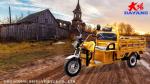 Electric Cargo Transportation Yellow Electric Tricycles DY-160-1