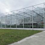 Agriculture Flower Greenhouse Glass Industrial Outdoor Multispan Glass
