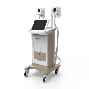 Quality -15~5 ℃ (0.1℃ adjustable) Cryolipolysis Vacuum Body Slimming System wholesale