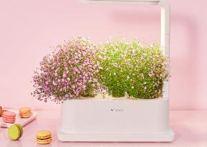 Quality 3pcs Plant 12V 9W Home Hydroponic Growing Systems wholesale