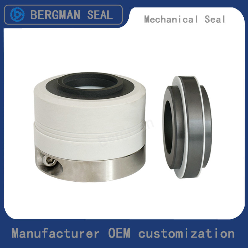 Original WB2-25/30/35/40/45/50/55/60/65/70/80mm Corrosion Resistant Chemicals Pump Mechanical Seal