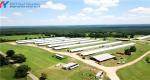 Construction Package Installation Steel Structure Plant Warehouse Poultry House