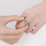 Sterling Silver S925 Moissanite Jewelry Diamond Same Crown Ring 2 Carat