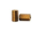 Brass Worm Gear Small Brass Spur Gears 1 Lead 0.5 High Wear Resistance